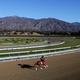 Image for article titled Another Dead Horse At Santa Anita